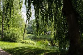 Dein Tag Im Paradies 2019 0007